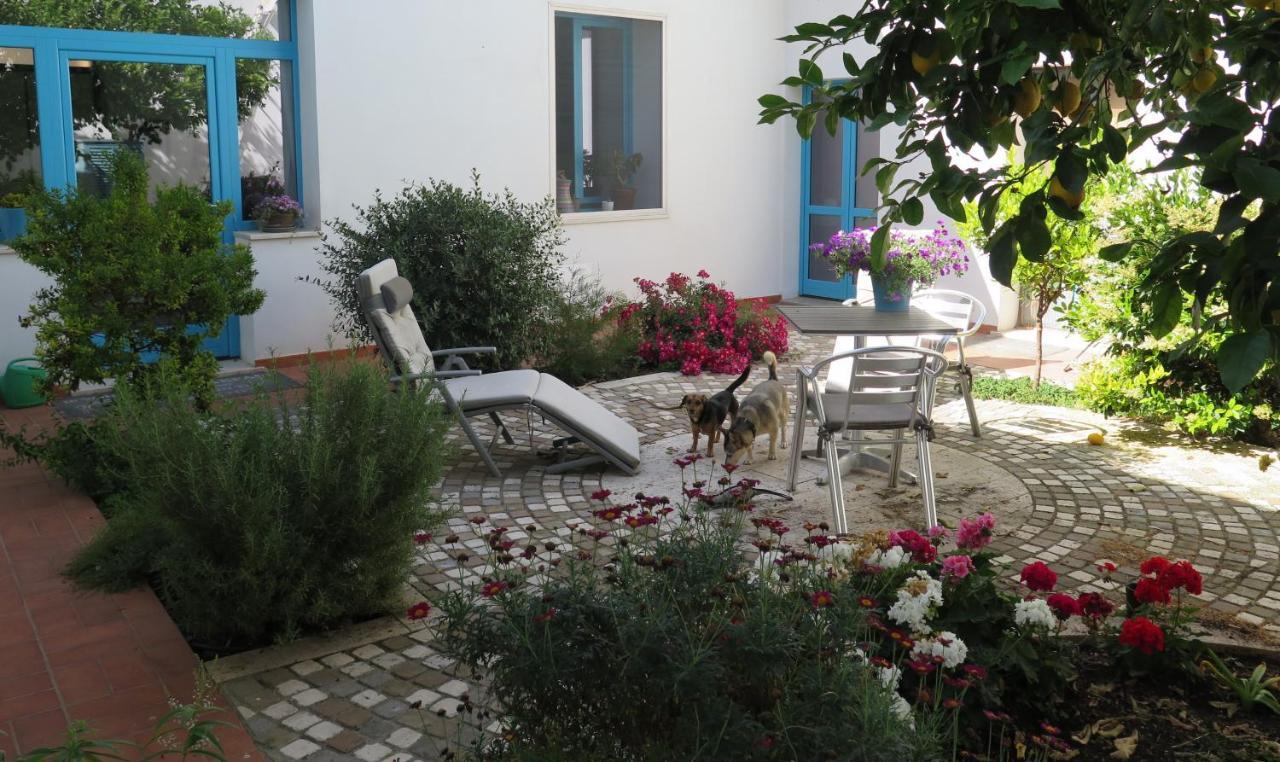 B&B-Le Rondini Monserrato Exteriér fotografie
